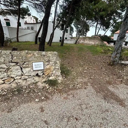 Mariposa Alghero